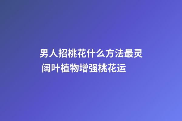 男人招桃花什么方法最灵 阔叶植物增强桃花运